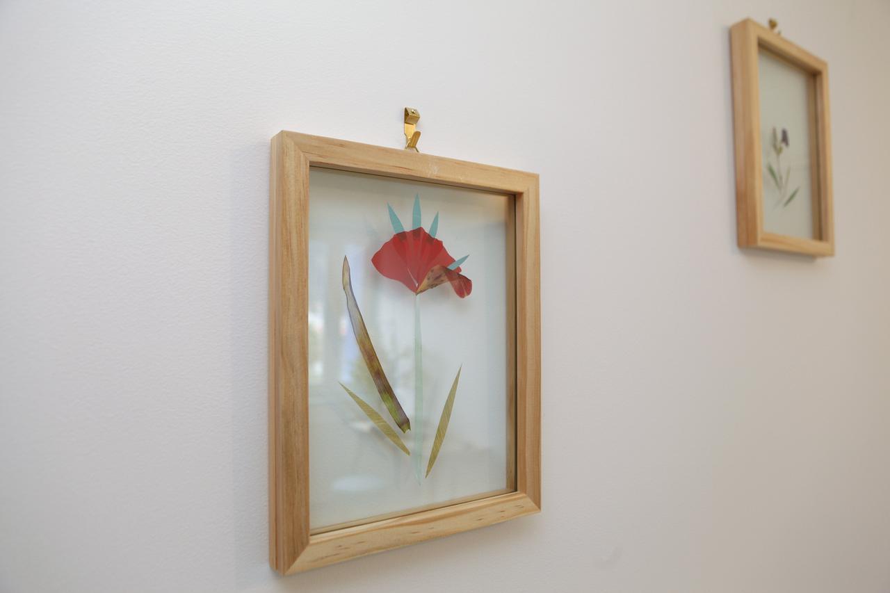 디에 Le Saule Reveur B&B 외부 사진