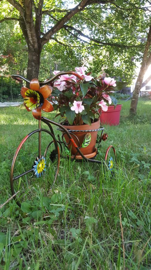 디에 Le Saule Reveur B&B 외부 사진